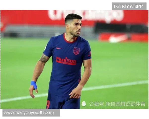 布兰与兰黑姆的巅峰对决谁能笑到最后揭开悬念与荣耀的较量